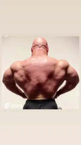 #joelsaltzman #rearlatspread #latspread 