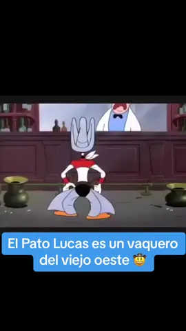 Mucho traigo y pocas balas #patolucas😎😎 #porquinhodaindia #balasera_en_terminal_guayaquil 