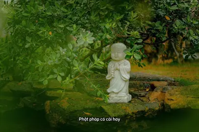 Phật pháp là thuốc chữa lành#thaythichtructhaiminh #chuabavang #chuabavangpagoda #chữalanhtamhon #xuhuong #xuhuongtiktok 