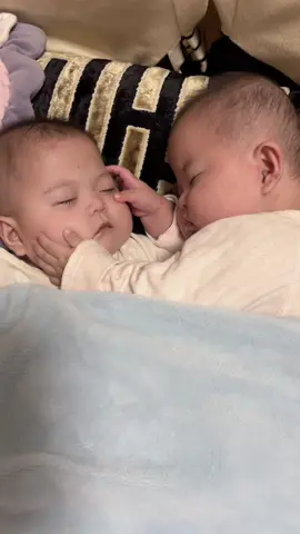 Yêu xương nhau nhắm #viaconyeu #viaconcung #babycutevideos 