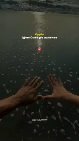 වටිනාකමක් නැති තැන චුට්ටක්වත් රැදෙන්න එපා 🙂👀 වීඩියෝ එක බලල විතරක් යන්නෙ නැතුව හාර්ට් ❤️ එකක් දාගෙන යන්න කුහක නොවී 🙂#fypシ#foryou#1million#fyp#foryoupage#fyp 