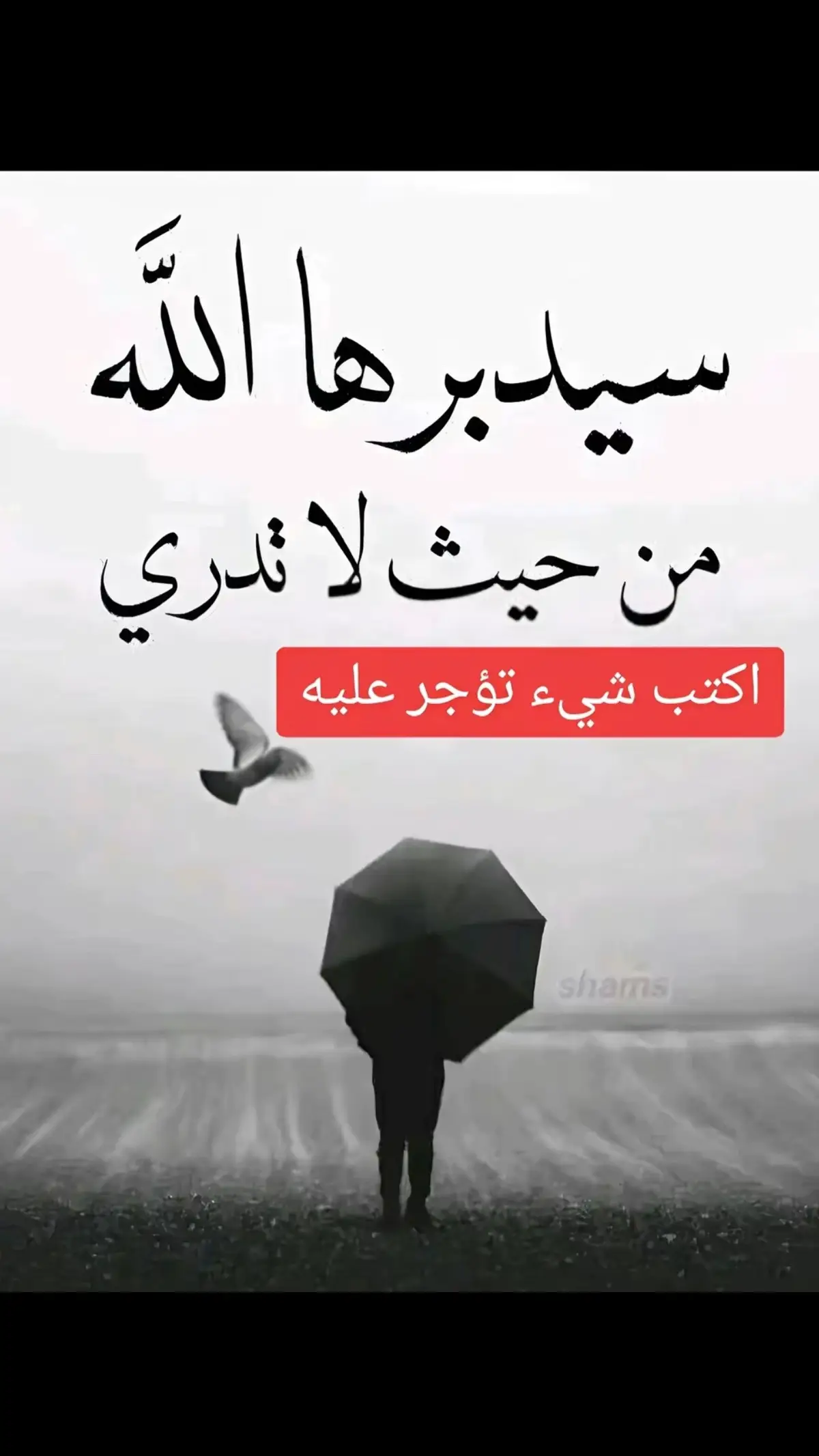 #النرويج🇳🇴 #ترند_جديد #foryou #jordan 