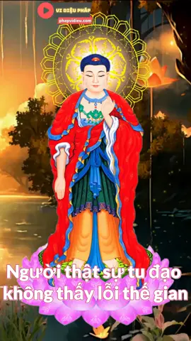 Mình không thấy lỗi của người khác, chỉ thấy lỗi của mình, như vậy tịnh tâm sẽ được định, tâm có định mới sanh trí tuệ. Nếu nói lỗi lẩm của người khác, tâm mình không bao giờ được định, như vậy tổn thất của quý vị quá lớn rồi. Quý vị niệm Phật lại xem thấy những lỗi lầm của người khác, quý vị quyết định không được Nhất tâm bất loạn. Không những không được Nhất tâm bất loạn, tiêu chuẩn giáng xuống một tí là công phu thành phiến cũng không thể được. Không được công phu thành phiến thì vãng sanh không có hy vọng, tổn thất này thật quá lớn. Lục Tổ nói: “ Người thật sự tu đạo, không thấy lỗi thế gian”. Đây thật sự là những lời giáo huấn quý giá, quyết không được quên. Trích trong: Niệm Phật Thành Phật - D. Tu Tâm Người giảng: Lão Pháp Sư Tịnh Không #vidieuphap  #phapsutinhkhong  #hoathuongtinhkhong  #phatphap #niemphatthanhphat  #tuhanh