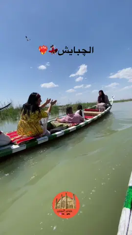 هزوو شويي وخلووو لايك💃🏻👀#مجودي_السومري #اهوار_الچبايش💕👌 #الدليل_السياحي_في_اهوارالجبايش #تفاعلكم #tiktok #طششونيي🔫🥺😹💞 #ردح  @السومري… 