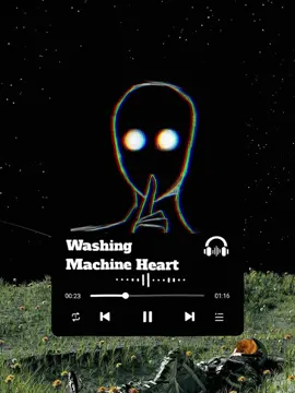 #washingmachineheart #mitski #music #fyp 