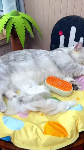 Pet comb#fyp #foryou #foryoupage #top #tiktok #cat 