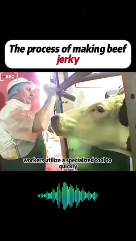 The process ofmaking beefjerky #usa#tiktok#of science#gourmet food#fyp#longervideos