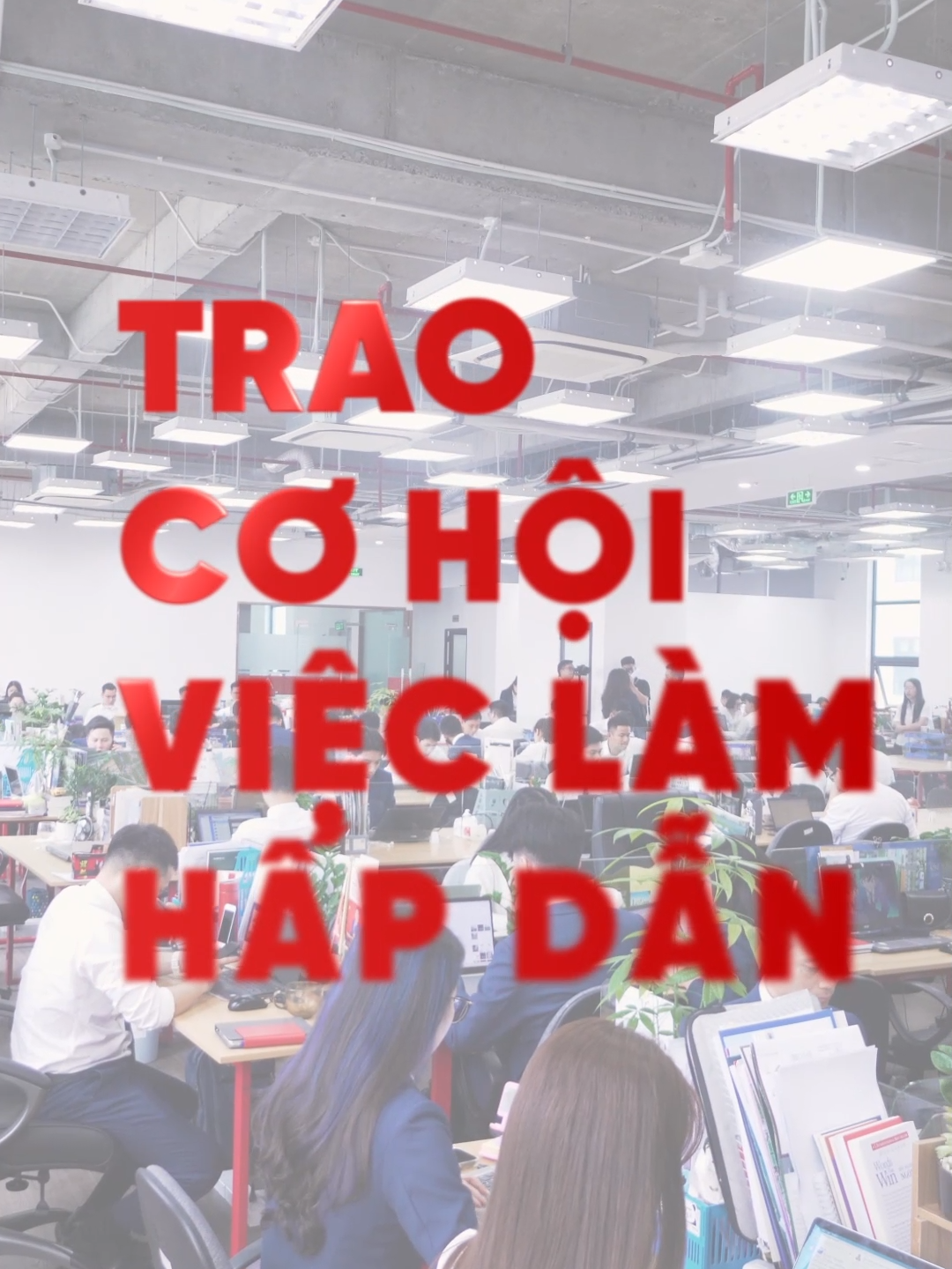 Chưa có kinh nghiệm ▶️ Sẽ được đào tạo Chưa có thu nhập cao▶️ Sẽ có cơ hội bứt phá Chưa có định hướng ▶️ Sẽ được hỗ trợ phát triển 👍 Mai Việt Land - Môi trường làm việc lý tưởng cho CÁC BẠN TRẺ VÀ SINH VIÊN MỚI RA TRƯỜNG.