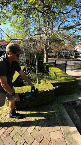 Give me a rating out of 10✌🏻 #hedging #rateme #mywork #satisfying #garden #reels #feedback #makitaaustralia @KingGee Workwear  