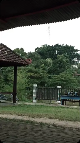 sok yen akdewe sido asing, rungoke lagu iki🙂 #overlaylirik #liriklagu #templatlirik #templatliriklagu #mencintaidenganngeyel 