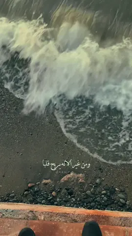 #CapCut  ربّ كئيبٌ ليس تندى جُفونهُ وربّ كثيرُ الدمعِ غيرُ كئيبُ..#hawy_0 