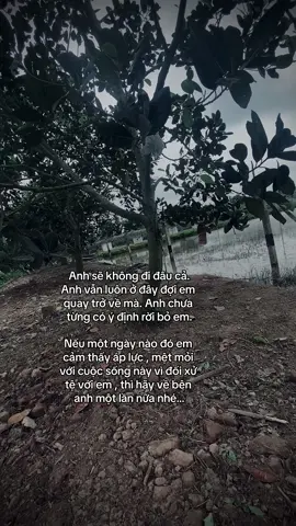 Về bên anh 1 lần nữa nhé.. #tung6th2 #xuhuongtiktok #fyp #caption #tamtrang 