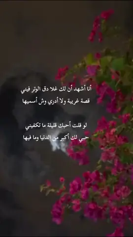 #قصايد #شعر #بوح_القصيد #خواطر #يعرف_نفسه_بدون_ماذكره #4youpage #fiypシ #اكسبلورexplore 