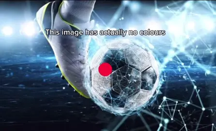 #meme #funny #monkey #funnymonkey #middlefinger #Soccer #striking 