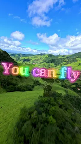 Fly