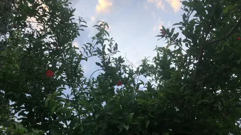 عباراتكم😔؟ #عباراتكم #حياة🖤 #تصويري #اشعار_قصائد #موسيقى#شمسين #ذواقين__الشعر_الشعبي #life🖤 