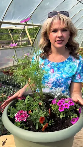 Pressed Flowers!  The best flowers to grow for pressing are flowers with a single layer of petals; these are easier to press and dry. Flowers like canna lilies and dahlias are a bit too think to press/dry easily.  Plants featured in video: Cosmos  Cherryburst Superbena  Pink and orange superbells  Dusty Miller  Some of our favorites for pressing not in the video:  Zinnias  Delphiniums  Daisies  Lavender  Pansies  Violets  Ferns  Baby’s Breath  Marigolds (be careful of the double bloom varieties)  Mums  Nasturtium  Poppies  Larkspur  Basic Pressing Instructions: (We recommend looking further into pressing kits and other flower pressing enthusiasts for more in depth instructions and other methods) 1. Pick flowers close to full bloom 2. Arrange your flowers on a sheet of parchment paper with 3/4” space between them  3. Place a second piece of parchment paper over top of them (or even fold over the same sheet) 4. Place in sturdy book and close  5. Wait 2-4 weeks for the flowers to be completely dry #garden  #gardentok #gardening #plants #PlantTok #flowers #flowertok #gardenproject #pressedflowers 