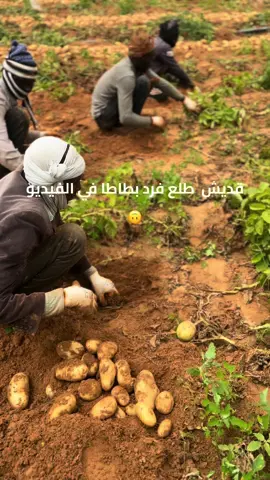 #بطاطا🥔 #الحمدلله_دائماً_وابداً❤️ #لايك_متابعه_اكسبلور #تصميم_فيديوهات🎶🎤🎬 #tiktok #fyp #اللهم_صلي_على_نبينا_محمد #شعب_الصيني_ماله_حل😂😂 #قماطة_القرابولي_طربلس_ليبيا 