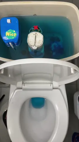 Dùng viên này thích lắm nha, vừa sạch mà lại đỡ phải cọ nhiều nữa… #vienthaboncau #vienthaboncaucleanz #cleanz #viensachboncau #review 