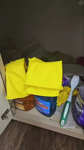 #organizer #organizadoresparaelhogar #springcleaning 