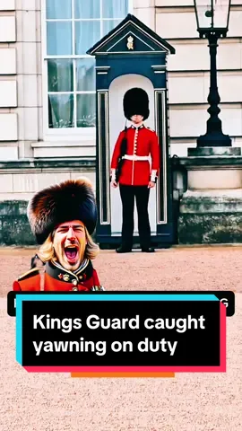#bryanbaker44 #horseguardsparadeo #horseguards #kingsguards Kings Guard caught yawning on duty