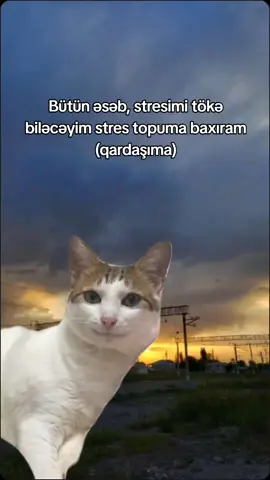 ehehehe #Meme #MemeCut #CapCut #fypシ #mikkilish #kesfetttt #naxcivan #global 