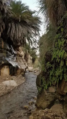 اكتب شيئاً تؤجر عليه 🤎 
︎ 
︎ #سعود_الشريم #سورة_الرعد #quran #قران #تلاوة_خاشعة #فيصل᪥ #انشر_تؤجر_بإذن_الله 