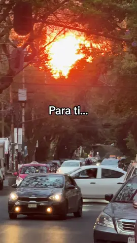 ☀️ #parati #viral #foryou #crush #pensandoenti #ligando 