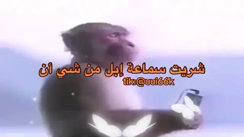 #ذبات_الفراشات_تفوز_باحلى_ذبات #اكسبلوررررر #الفرشات_اهم_من_الذبة #هشتاك_تيك_توك #fyp #رياكشنات_مضحكه 