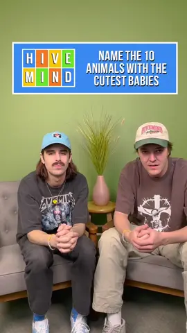 Guess the 10 Animals with the CUTEST Babies 🥹 #hivemind #babies #baby #animal #kittensoftiktok #dogsoftiktok #catsoftiktok 