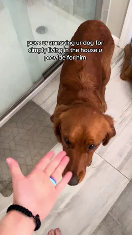 not him acting annoyed he had to get up at the end 😂