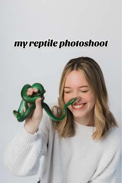 i am so excited to have these back, i love how they turned out 🥹 #reptilemom #reptilesoftiktok #beardeddragon #rhinoratsnake 