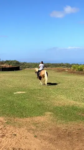 The grass couldn’t get much greener… Happy #EarthDay!
