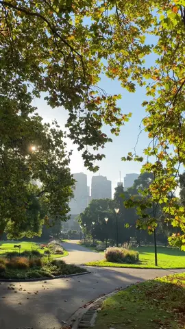 Melbourne afternoons 🍂  . . . . . #melbourne #fyp #melbourneaustralia #melbourneactivities #melb #melbournecity #city #park #autumn #aesthetic #pretty #nature #vibes #melbourne