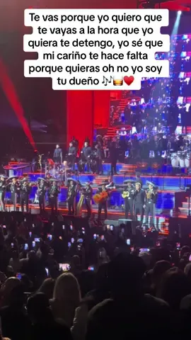 Luis Miguel Tour 2024 ♥️🎶#luismiguel #elsoldemexico #lamediavuelta🎵🎙🎺🇲🇽 #viraltiktok #