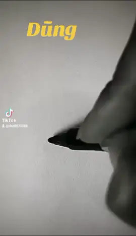 chữ ký tên dũng 