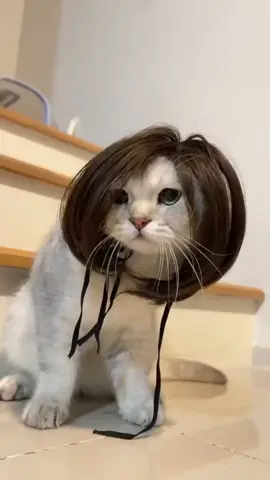 เรียกผมว่าไอ้จ๊าบบบ 55555555555555 #คลิปตลก #คลิปฮา #คลายเครียด #ขำๆ #เทรนด์วันนี้ #มีมตลก