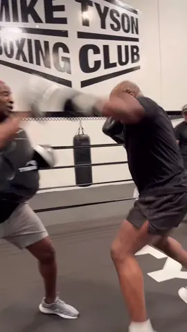 Back at work  #PaulTyson 