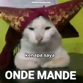 Maaf jarang apload🙏🙏 #memedakwah #halal #islam #memehalal #memeviral #dakwah #hijrah #bismillahfyp #foryou 