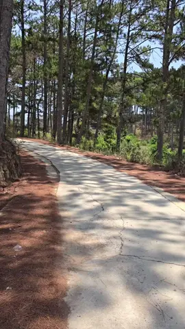 Dạo  này  em cũng  thích đi  chữa lành #chualanh #dalatpho #dalatchill2024 