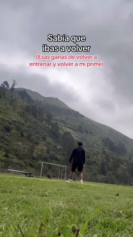 volvereeee🙌🏻⚽️❤️‍🩹 #fypage #viralvideo #parati #xyzbca #futbol #prime 