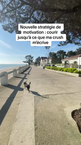 aller go 🏃🏻‍♀️ #runtok #Running #runnergirl #run #fypシ #crush #courseapied #foryou 