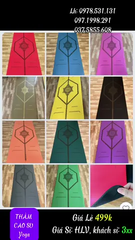 Thảm cao su Thịnh Vượng: 185*68*0,5cm 3xx-4xx #yoga #yogaflow #yogatainha #yogaonline #thamcaosuyoga #xuhuong 