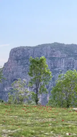 #ئاکرێ #ئاکرێ #اربيل #هەولێر_سلێمانی_دهۆك_ڕانیه_کەرکوک_زاخۆ #دهوك #دهوك 