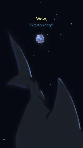 Tripod Fish 🔭🐟 #animation #original #cartoon