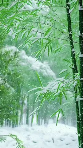 Cảnh đẹp tuyết rơi