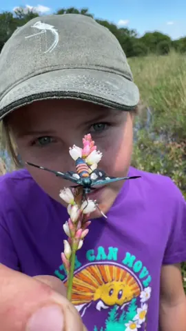 Check out this Cool Handmaiden Moth - looks like a hornet don’t you think! Amazing! 🙌🏻🌍 #moth #insectsoftiktok #fyp #nature #reels #amazing #video #viral #closeup  #brookecarter #color #tiktok #livingmybestlife 