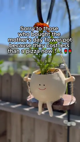 This cute plant hanging pot is an amazing Mother’s Day gift. This hanging plant is so cute. This hanging pot will make anyone smile. I love cute planters. They make great gifts. ##mothersday##mothersdaygiftidea##mothersdaygiftguide##giftideas##giftsforher##gift##giftidea 