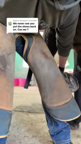 Replying to @Sassysou hope this is what you were looking for 🤗 See original post for description of shoeing plan 🤘 @forfarriersbyfarriers  #farriersoftiktok #horse #farrier #forfarriersbyfarriers #equestrian 