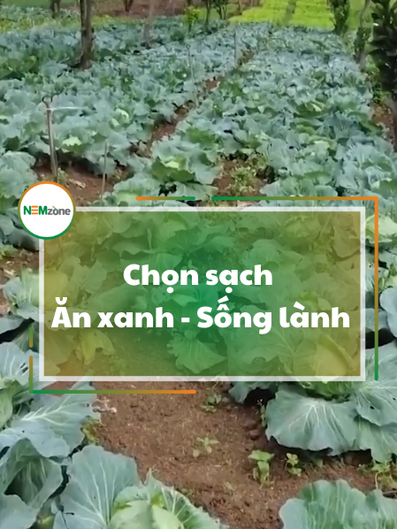 Vì sao bạn nên Ăn xanh - Sống lành? #AnCungTiktok  #ReviewAnNgon  #Anxanh  #ChonSachAnXanhSongLanh  #Nemzone  #fyp  #xuhuong